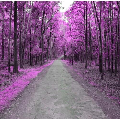 Light purple forest vinyl backdrops for photography custom photographic background long road mountain wedding photo backdrop