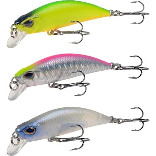 1pcs Slowly Sinking Minnow Fishing Lure 5.5cm 5g Isca Artificial Hard Bait Bass Wobblers 3D Eyes Crankbait Carp Pike tackle
