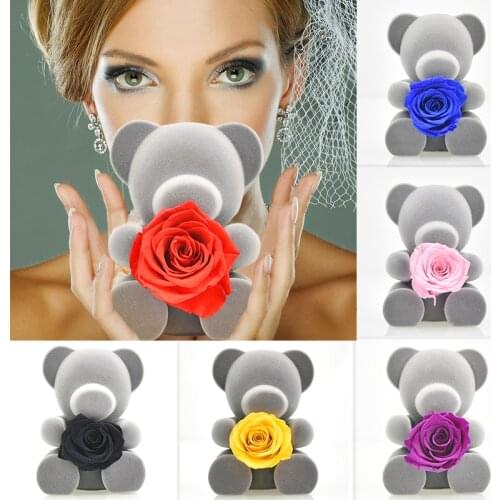 Lovely Grey Teddi Bear Preserved Rose Flower Handmade 7 Color Rose In Box Love Artificial Flower Gifts for Girlfriend Christmas