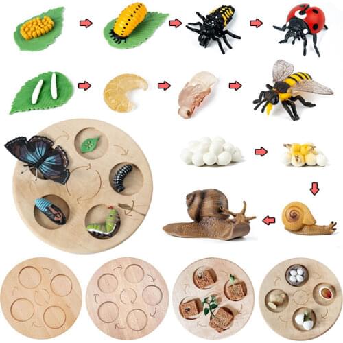 Monster Carnival Biology Textbooks