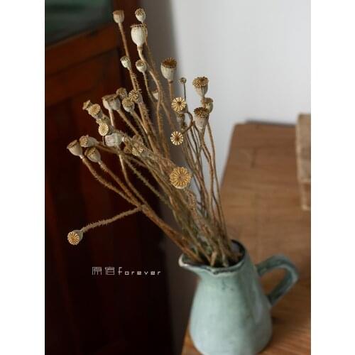 25pcs Imported Natural Real Flower Air-Drying Yu Meiren Dried Flower Artistic Photo Decorations and Ornaments Bouquet with