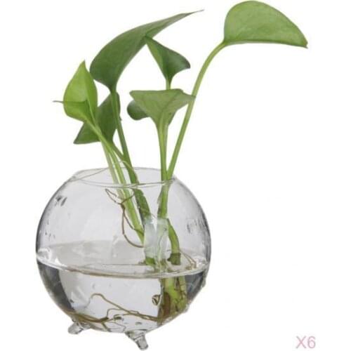 6pcs Clear Glass Flower Vase Round Bud Vase Decorative Floral Vase Plants Terrarium Pot for Home Decor Office Ornaments