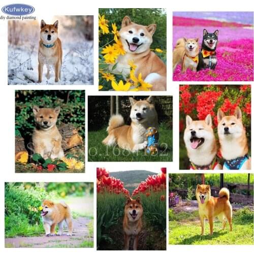 5D DIY Diamond Painting"Shiba Inu dog"Diamond Embroidery Bead Cross Stitch Mosaic Painting Full square Drill paint whit diamond