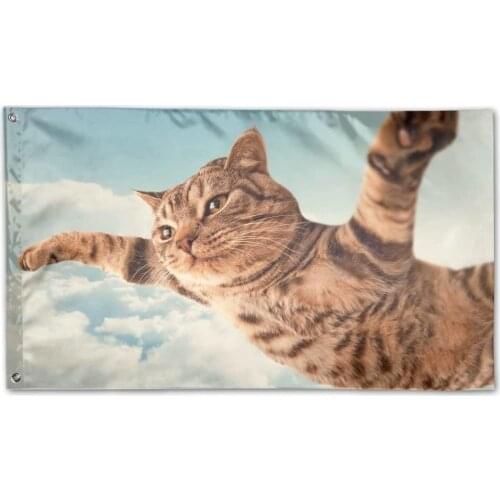 I Belive I Can Fly Cat Garden Lawn Flags Indoor Outdoor Decoration Home Banner Polyester Sports Fan Flags 3 X 5 Foot