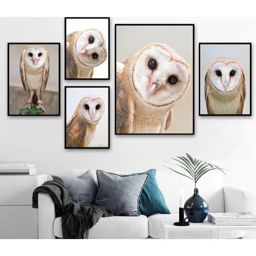 Cute Owl Animal Canvas Print Picture Posters Prints Wall Art Home Decor Lovely Owl Wall Art Picture Childrens Room Decoration