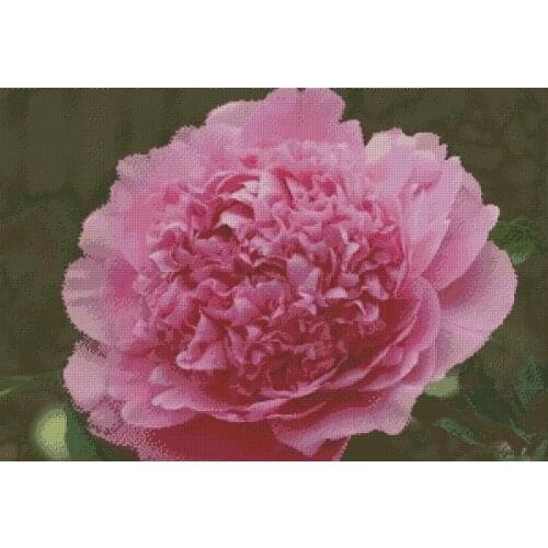 Peony Plant Flower Top Quality Embroidery Needlework 14CT Unprinted Cross Stitch Kits DIY Arts Handmade Home Decor