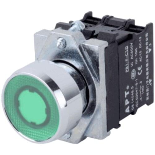 PB1S-11D/g31 101385345 PB1S metal flat head with lamp combination button