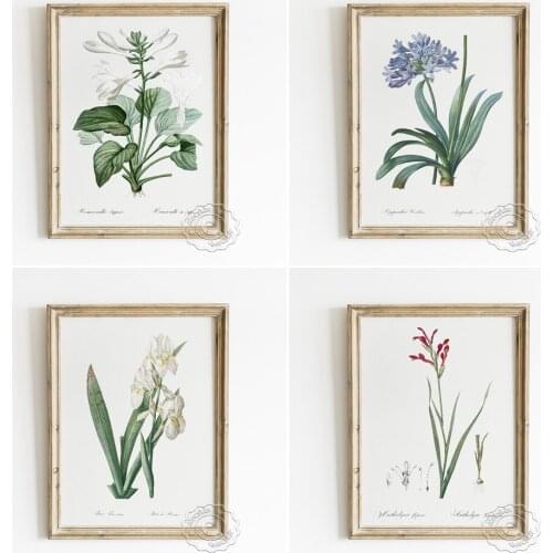 Various Flowers Plants Art Poster, Watercolour Ornamental Flora Wall Picture, Quietly Elegant Flower Home Decorative Painting