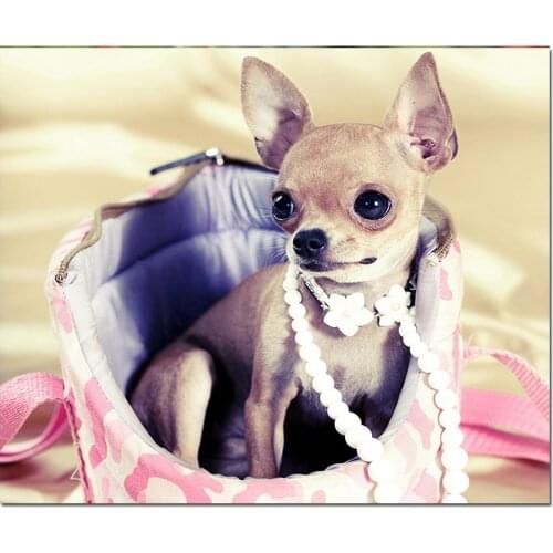 5D Diamond Painting Dog Jewelry Chihuahua New Arrival Full Square Round Diamond Embroidery Mosaic Art Home Decoration