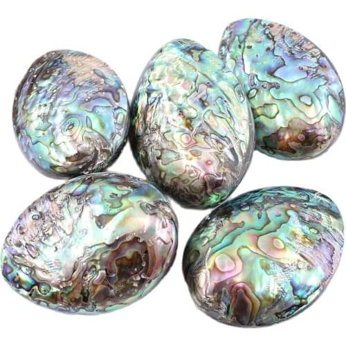 APDGG 40x50-45x65mm 5Pcs Big Oval Natural Blue Abalone Shell Loose Beads Jewelry DIY