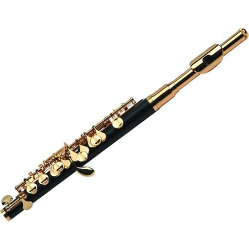 Intermediate grade ABS body gold Plated Piccolo