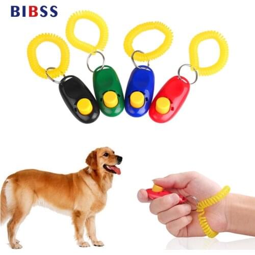 BIBSS Clickers For Training