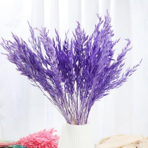 15/25 PCS Real Wheat Ear Flower Decoration Natural Pampas Rabbit Tail Grass Dried Flowers for Wedding Party DIY Craft Bouquet