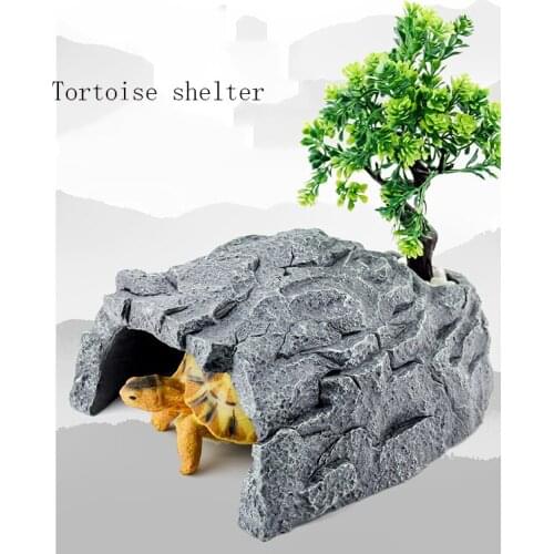 Tortoise Hiding From Cave Leopard Pattern Guarding Palace Yellow Edge Landscaping Big And Small Tortoise Sun Terrace Climbing