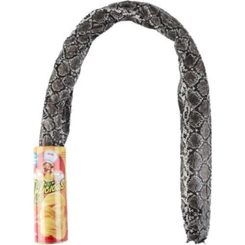 Joke Toys Funny Potato Chip Can Jump Spring Snake Roach Toy Gift April Fool Day Halloween Party Decoration Prank Trick Fun Toys