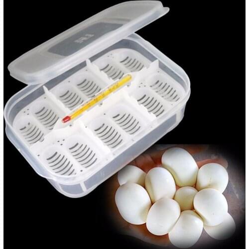 12 Holes Reptile Egg Incubation Tray with Thermometer Incubation Tool for Gecko Lizard Snake Eggs