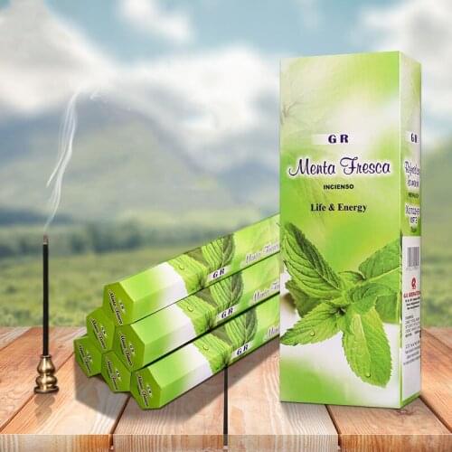 Big Box India Incense Cool Mint Aroma Incense Stick Natural Fragrance Spices Clean Air for Living Room Household Indoor Supply