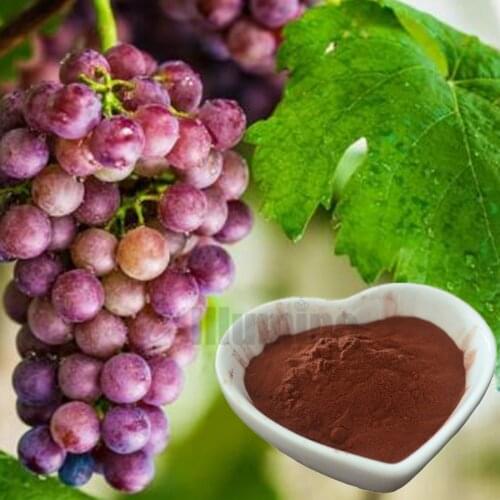 Grape Seed Extracpowder Opc95% Procyanidins Grape Seed Anthocyanins 1000g