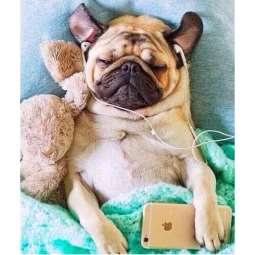 Bulldog diamond mosaic pitbull dog animal embroidery painting rhinestone stickers decoration diamond art needlework handcraft