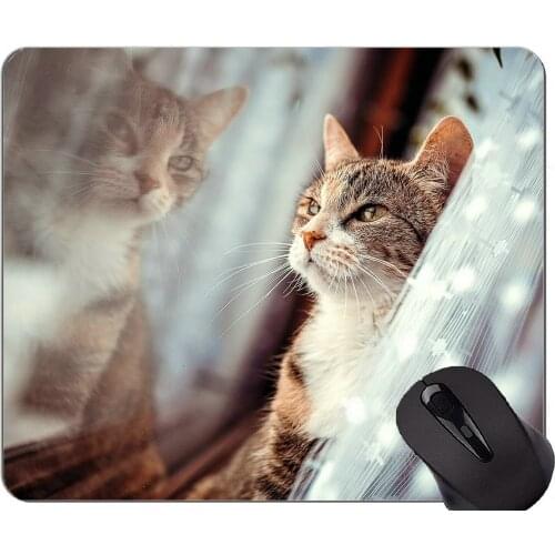Gaming Mouse Pad Custom,Reflection animal cat window Non-Slip Rubber Base Mousepad