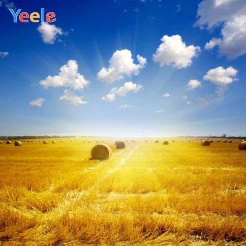 Autumn Farm Wheat Field Hay Roll Sky Cloud Backdrop Newborn Baby Birthday Photography Background For Photo Studio Photophone