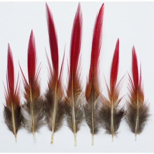 Beautiful 10Pcs 8-15cm Natural Golden Pheasant Tail Feathers For DIY Crafts Home Christmas Decorations Cosplay Hat Accessories