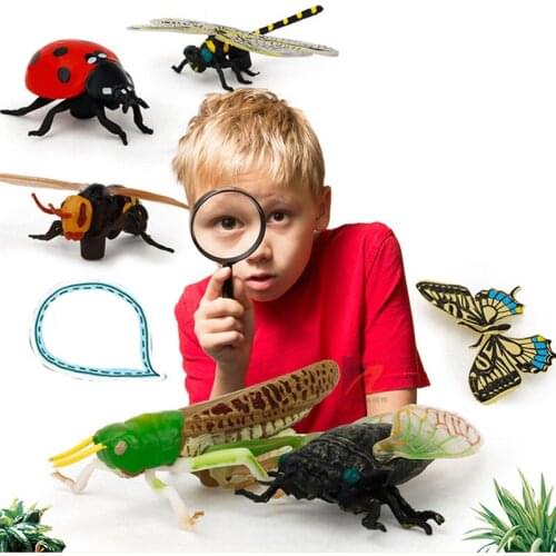Simulation insect model children toy 6PC animal Puzzle Cognition teaching plaything gift for kids boys girls birthday