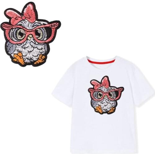 Owl Patch Iron on Patches for Clothing Heat Transfer Stripe Sew on Stickers on Clothes Embroidered Patches for The Dress DIY G