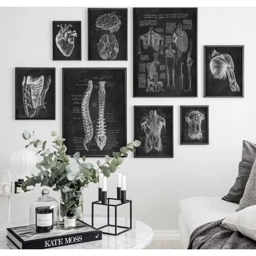 Medicine Education Anatomy of Human Body Posters Medical Clinic Wall Decorative Picture Body Organ System Canvas Painting Poster