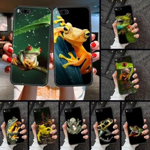 Cartoon frog Phone case For Xiaomi Mi Max Note 3 A2 A3 8 9 9T 10 Lite Pro Ultra black tpu shell trend back painting coque