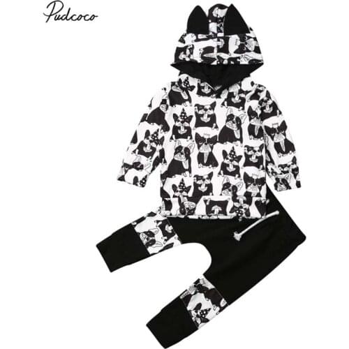 2019 Baby Spring Autumn Clothing 2pcs Kid Toddler Clothes Boy Girl 3D Eras Hoodie Tops+Pants Tracksuit Dogs Outfits Set Lovely