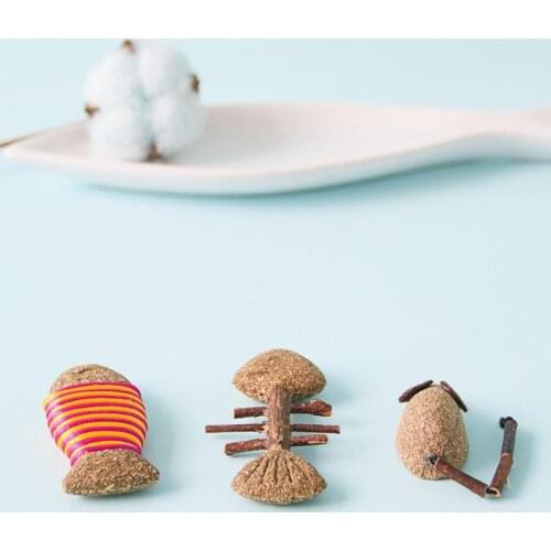 NEW 2021 Cat Interactive Toy Catnip Creative Bone Fish Mouse Shape Wooden Toy Cat Chew Toy Bite Toy Unique Design Pet Supplies