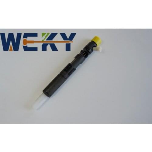 Promotion! High Quality EJBR04101D EJBR01401Z 28232242 Common Rail Injector Diesel Fuel Injector Half A YEAR WARRANTY