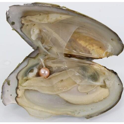 Hot Sale Individually Wrapped Oysters With Natural Round Pearls 7-8MM Best Gift Jewelry Free Choose Natural Pink AR023
