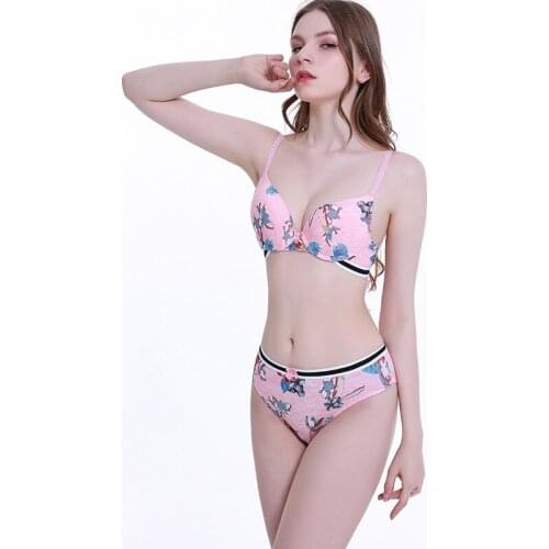 European and usa bra set cotton printed large size sports bra ladies underwear bra Three Quarters(3/4 Cup) sexy shirt women
