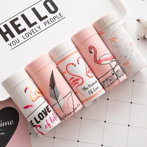 4 Pcs Comfortable Cotton Panties Women Girls Low Waist Invisible Quick Dry Briefs Fitness Gym Shorts Sexy Breathable Underwear