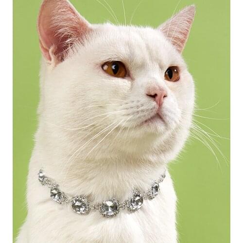 Pieces Bling Rhinestones Pet Collars Glitter Pendant Dog Collars Adjustable Crystal Cat Collar Elastic Pet Necklace for Small Pe