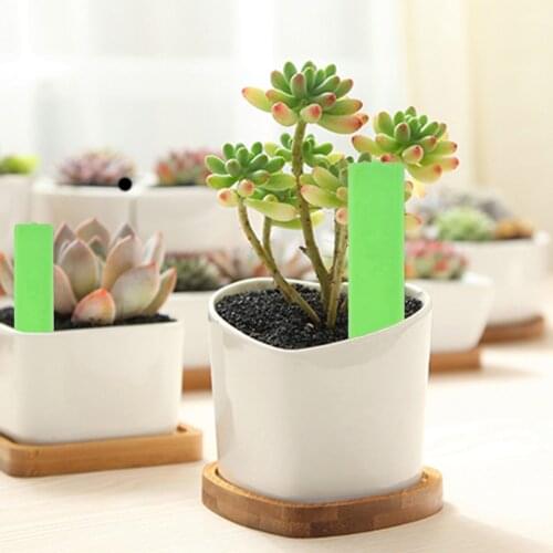 20pcs Plant Tags Tuin Plant Labels Kwekerij Markers Bloempotten Zaailing Labels Lade Mark Gereedschap Tuin Accessoires