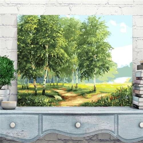 2017 new Green birch tree new oil painting by numbers hand painted canvas coloring by numbers home decor pictures gift AL029