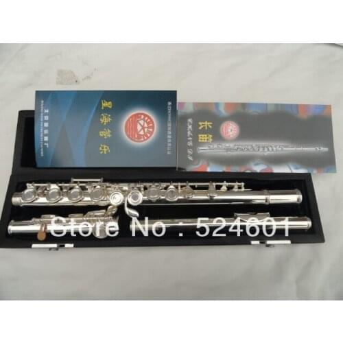 Professional Students Series 16 Holes Plus E Key Split Obturator Silver-plated Flute Instrument Free Shipping With Case