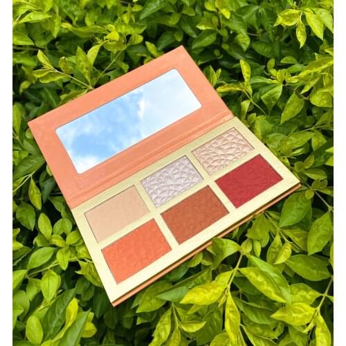 Wholesale No Label Makeup Highlighter 6 Color Highlighter Palette Face Pressed Powder Blusher Contour Concealer Private Label