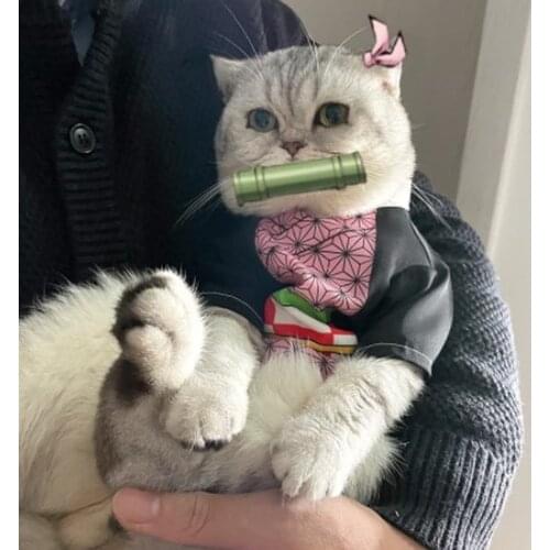 Anime Demon Slayer Cosplay Cat Clothes Costumes Kigurumi Suit for Animator Spider Dress Chat Fancy Fantasia Pet Disguise Cape