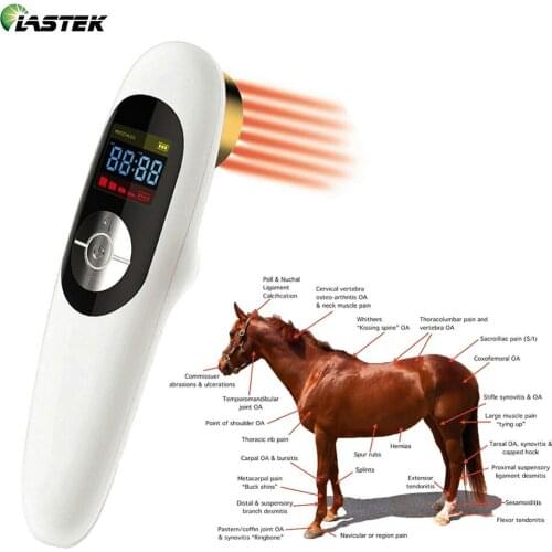 Portable 650nm+808nm Pain Relief Cold Laser Therapy for Human and Animals Cats Dogs Horses