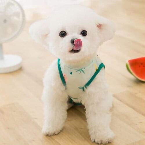 Puppy Sterilization Clothes Belly Protecting Pet Clothes Spring/summer Thin Physiological Pants Corgi Dudou Spring Cat Clothing