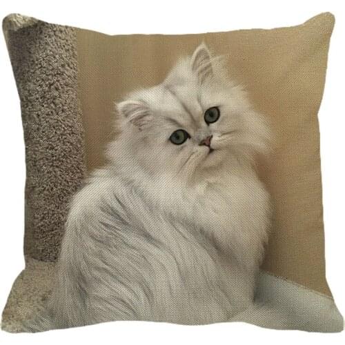 XUNYU 45cmx45m Cute Animal Chinchillas New Linen Comfortable Cushion Cover Living Room Sofa Decoration Pillow Cover YH004