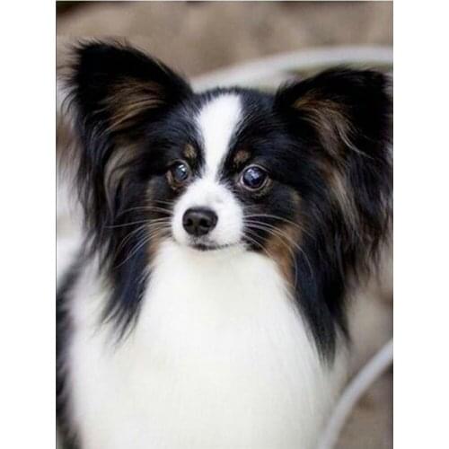 Dog DIY diamond painting cute dog animal dimaond embroidery full drill puppy diamond painting mosaic full round drill cat head