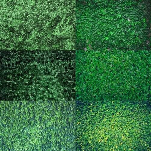 Photo Studio Props Photography Backdrop Green Leaves Nature Birthday Party Vinyl Background Seamless