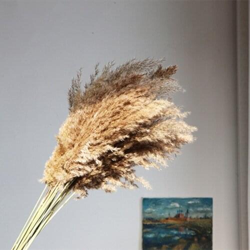 50cm Wedding Flower Bunch Natural Plants Dried Flowers Brown Bouquet Boho Decors Home Bedroom Living Room House Decoration