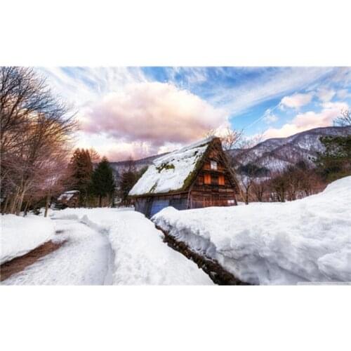 Top Fashion Diamond Embroidery Diy Diamond Painting Mosaic Picture Pattern Cross Stitch Full Rhinestone Snow horse A7377R