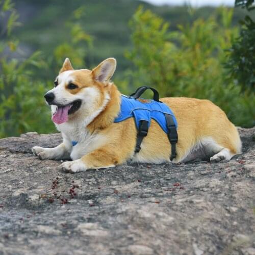 Pet Designer Clothing Apparel Stock Blue Garden Hund Harness Vest for Large Dogs Dog Clothes for Small Dogs